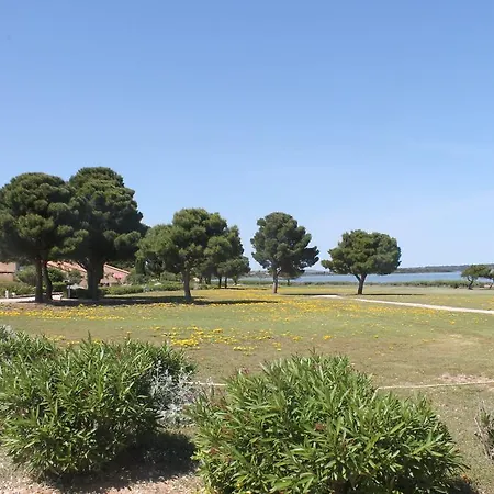 Pinede 公寓