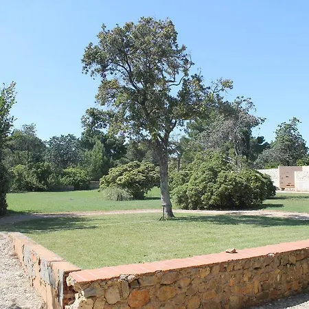 Pinede